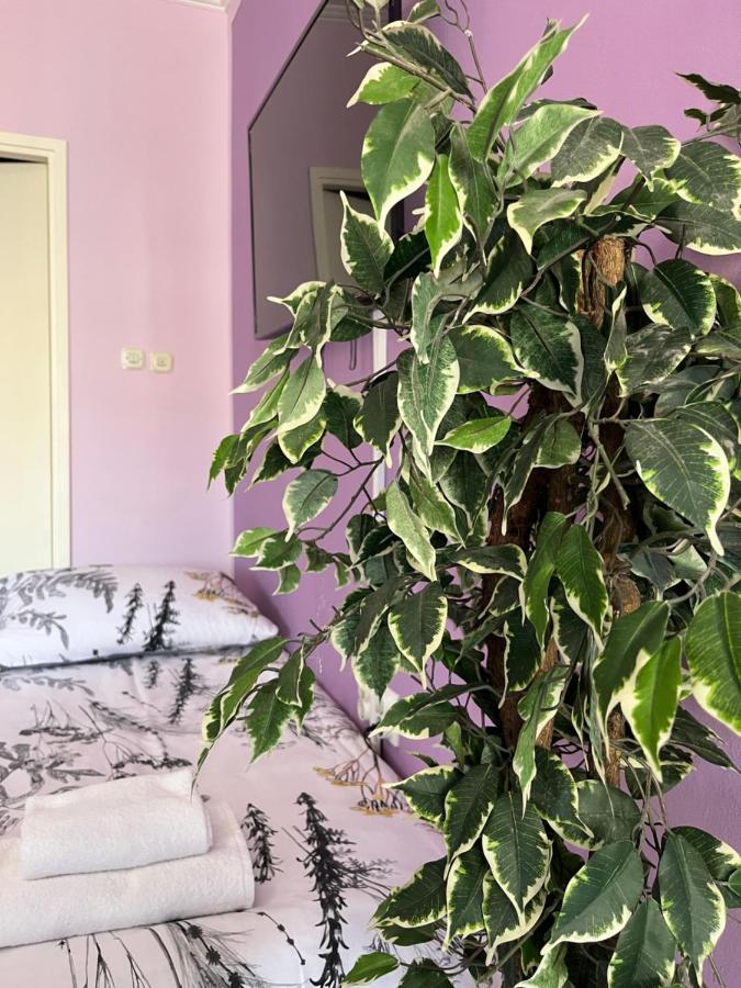Ferienwohnung Apartman Lora Rijeka Exterior foto